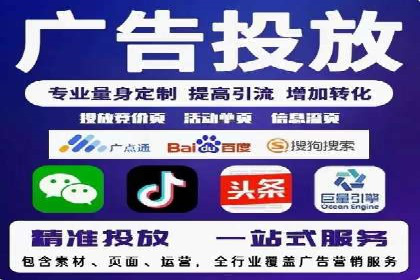 SEM竞价实战：成功案例解析